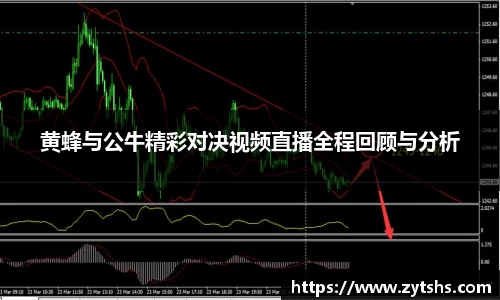 黄蜂与公牛精彩对决视频直播全程回顾与分析